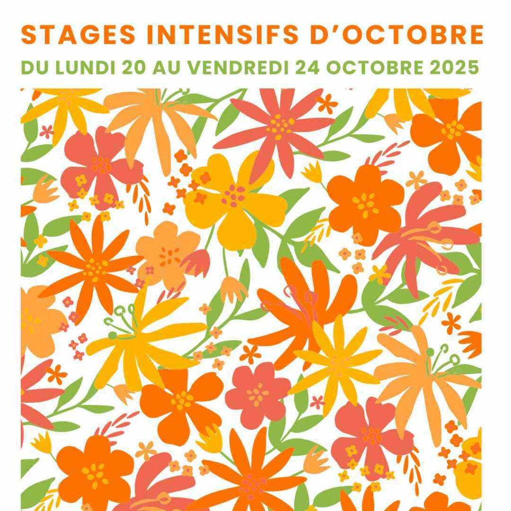stage intensif anglais espagnol portugais