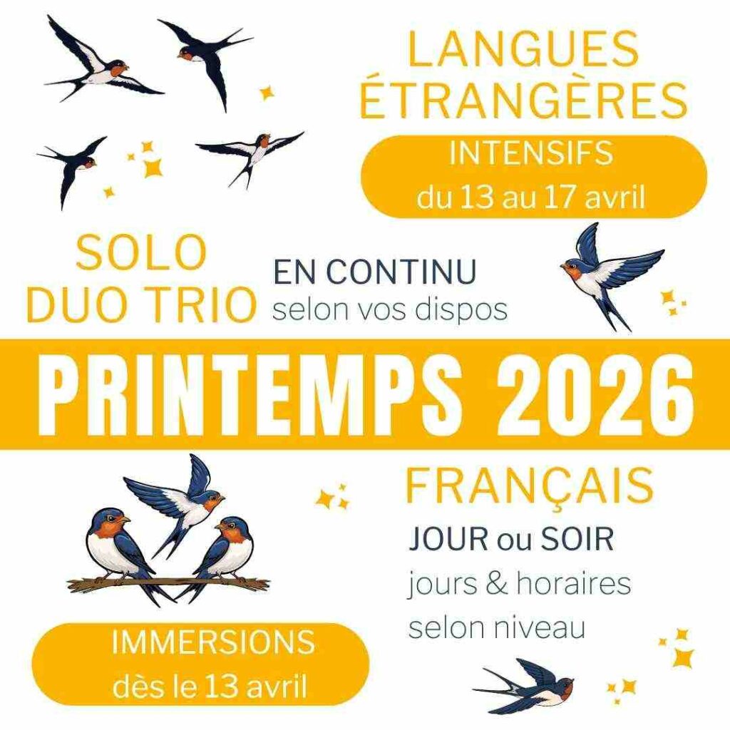 stages intensifs de langues à Marseille
